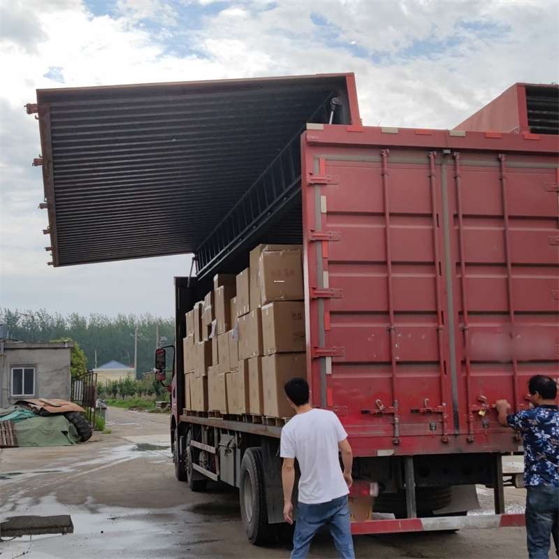 尖草坪区扎囊县：物流专线的高效货运之旅